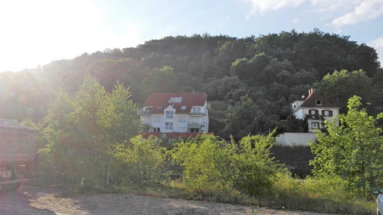 Ferienwohnung Anita Annweiler am Trifels Esterno foto
